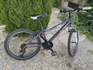 Bicicletă pentru fete x-fact - imagine 2