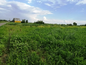 Teren intravilan Tartășești  - imagine 2