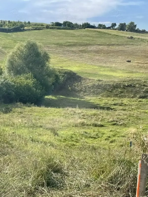 Persoana fizică vând în Chicerea 1200 mp intravilan cu deschidere la DN 44 de 21 m