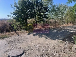 Teren Cornetu Strada Magnoliei- Pinului. - imagine 3