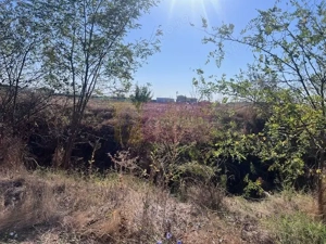 Teren Cornetu Strada Magnoliei- Pinului. - imagine 2