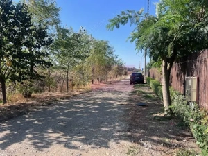 Teren Cornetu Strada Magnoliei- Pinului. - imagine 5