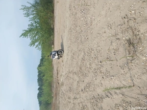 Vând scuter Gilera - imagine 8