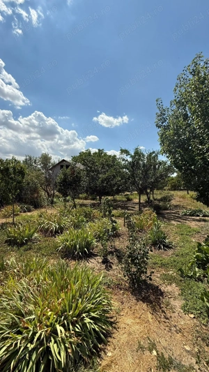 Casa de vanzare Ialomita