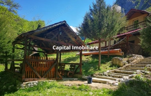 Casa de vacanta perfecta pe malul Cernei  - imagine 5