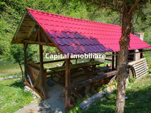 Casa de vacanta perfecta pe malul Cernei  - imagine 4