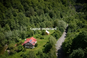 Casa de vacanta perfecta pe malul Cernei  - imagine 2