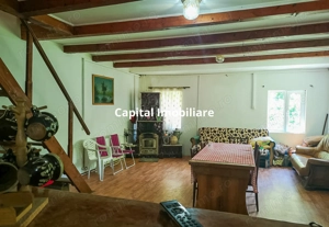 Casa de vacanta perfecta pe malul Cernei  - imagine 9