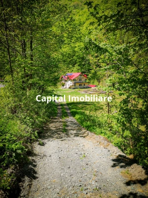 Casa de vacanta perfecta pe malul Cernei  - imagine 13