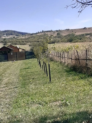 Proprietar, vând teren extravilan situat în Hărău