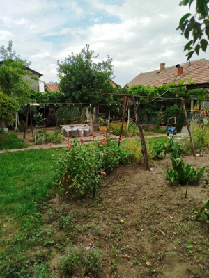 casa de vânzare - imagine 7