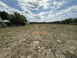 TEREN INTRAVILAN 1226 MP | ZONA CHISIRID - imagine 4