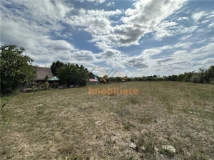 TEREN INTRAVILAN 1226 MP | ZONA CHISIRID - imagine 3