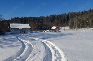 Casa in padure - imagine 2