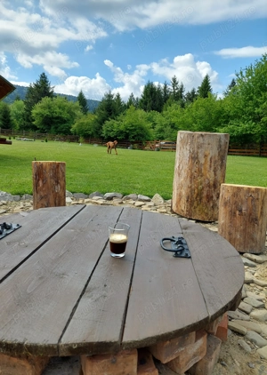 Casa in padure - imagine 3