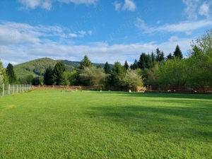 Casa in padure - imagine 6