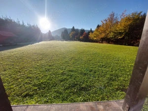 Casa in padure - imagine 5