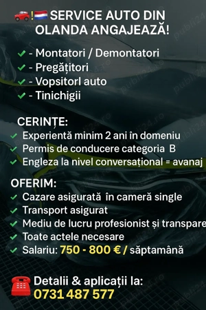 3200  vopsitor tinichigii olanda