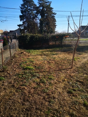 Casa de vanzare  in Lugoj - imagine 4 Casa de vanzare  in Lugoj - imagine 4