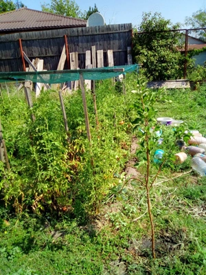 oportunitate achizitionare teren - imagine 3