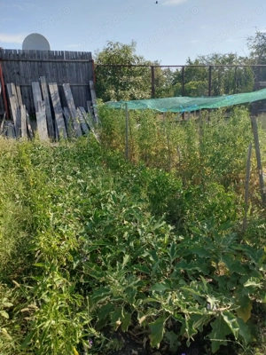 oportunitate achizitionare teren - imagine 5