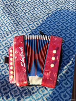 acordeon copii