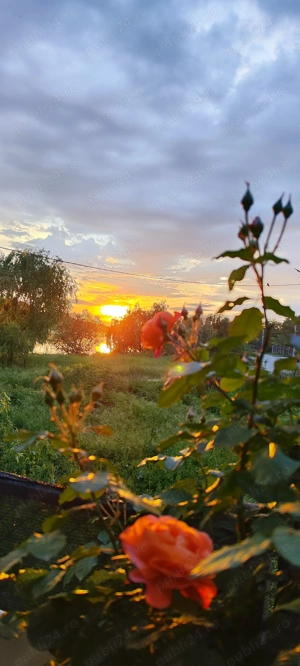 Casă pe lac de vânzare!  - imagine 3