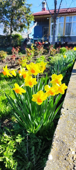 Casă pe lac de vânzare!  - imagine 5