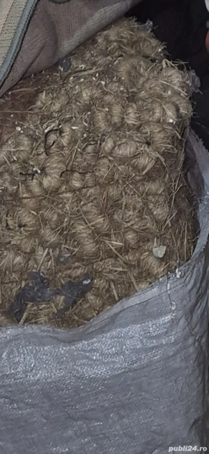 Vanzare Materiale tapițerie clasica