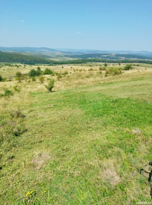 vand 2 parcele intravilan alaturate 450mp 425 mp 23 euro  - imagine 2