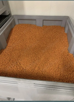 Vând fructe de cătina ecologică