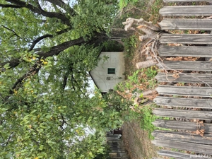 vand casa batraneasca cu teren  - imagine 2