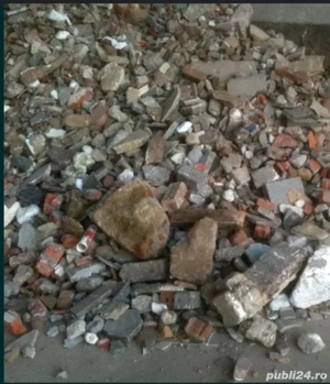 Recoltez  moloz la domiciliu , aduc nisip și sorturi - imagine 2