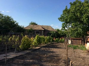 Casa de vanzare,Cioroiu Nou(com.Cioroiasi) - imagine 4