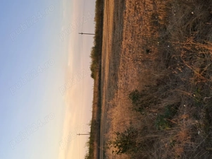 De vînzare  , sat Branistari  ,comuna Calugareni , județul Giurgiu - imagine 2