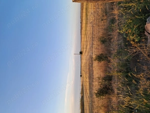 De vînzare  , sat Branistari  ,comuna Calugareni , județul Giurgiu - imagine 3