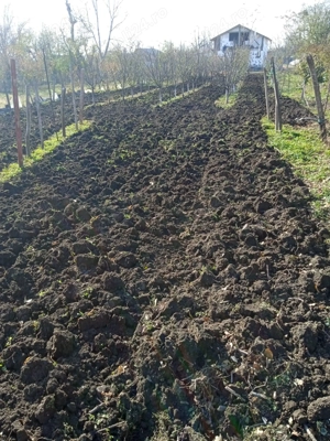 Vand Teren+Casa Batraneasca Olarii Vechi, Prahova - imagine 8