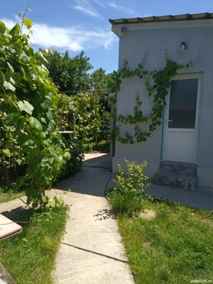 Case de vinzare confort apartament - imagine 2