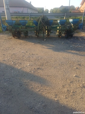 semanatoare romaneasca spc6