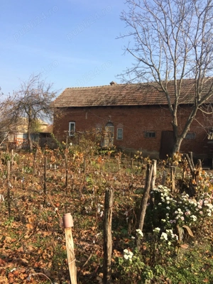 Casa de vanzare,Cioroiu Nou(com.Cioroiasi) - imagine 3