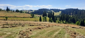 vând teren în maguri județul Cluj 