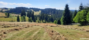 vând teren în maguri județul Cluj  - imagine 2