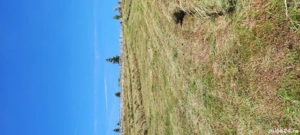 vând teren în maguri județul Cluj  - imagine 3