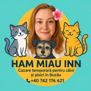 Cazare temporara Catei si pisici  Buzau 