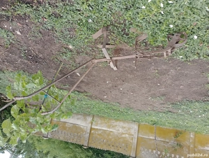 Vânzător. Cumpărător 