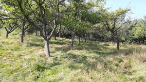 Pământ de vanzare intravilant  in Vulcan strada Traian 53 - imagine 5