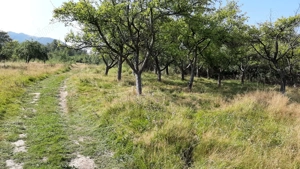 Pământ de vanzare intravilant  in Vulcan strada Traian 53 - imagine 2