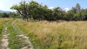 Pământ de vanzare intravilant  in Vulcan strada Traian 53 - imagine 3