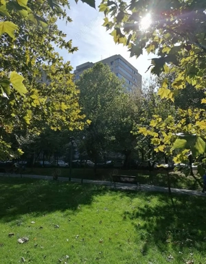 Apartament de închiriat , 3 camere , Camil Ressu parter - imagine 9