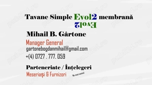 Oportunitate Câstig 50%   Lucrare pentru MESERIAȘI. Montaj TAVANE Simple false și Decorative